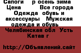 Сапоги 35 р.осень-зима  › Цена ­ 700 - Все города Одежда, обувь и аксессуары » Мужская одежда и обувь   . Челябинская обл.,Усть-Катав г.